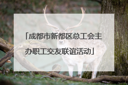 成都市新都区总工会主办职工交友联谊活动