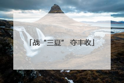 战“三夏” 夺丰收