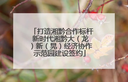 打造湘黔合作标杆 新时代湘黔大（龙）新（晃）经济协作示范园建设签约