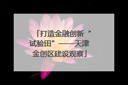 打造金融创新“试验田”——天津金创区建设观察