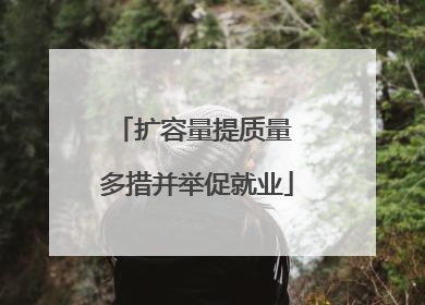 扩容量提质量 多措并举促就业