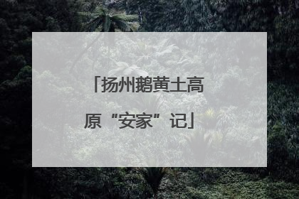 扬州鹅黄土高原“安家”记