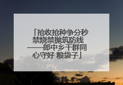 抢收抢种争分秒 禁烧禁抛筑防线——郎中乡干群同心守好 粮袋子