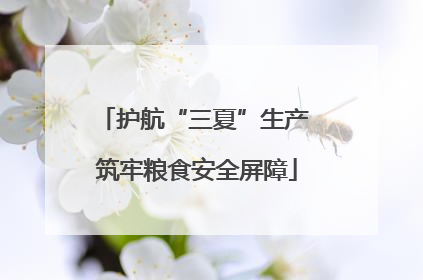 护航“三夏”生产 筑牢粮食安全屏障
