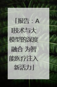报告：AI技术与大模型的深度融合 为智能医疗注入新活力