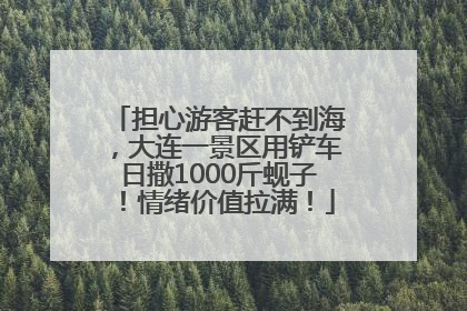 担心游客赶不到海，大连一景区用铲车日撒1000斤蚬子！情绪价值拉满！