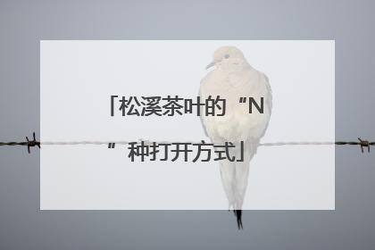 松溪茶叶的“N”种打开方式