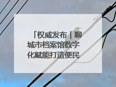 权威发布｜聊城市档案馆数字化赋能打造便民服务新模式