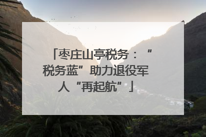 枣庄山亭税务：“税务蓝”助力退役军人“再起航”
