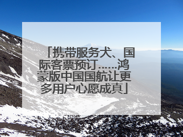 携带服务犬、国际客票预订……鸿蒙版中国国航让更多用户心愿成真