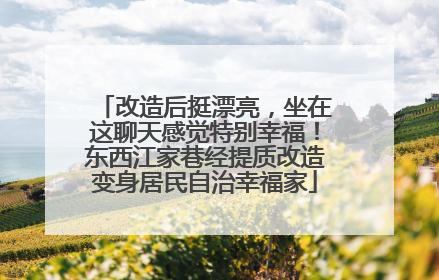 改造后挺漂亮，坐在这聊天感觉特别幸福！东西江家巷经提质改造变身居民自治幸福家