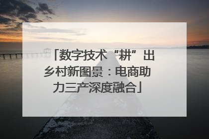 数字技术“耕”出乡村新图景：电商助力三产深度融合