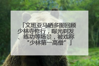 文班亚马晒多图回顾少林寺修行，曝光剃发、练功等场景，被戏称“少林第一高僧”