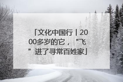 文化中国行丨2000多岁的它，“飞”进了寻常百姓家