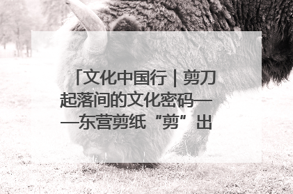 文化中国行｜剪刀起落间的文化密码——东营剪纸“剪”出非遗传承与现代生活的融合之道
