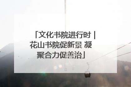 文化书院进行时｜花山书院促新景 凝聚合力促善治