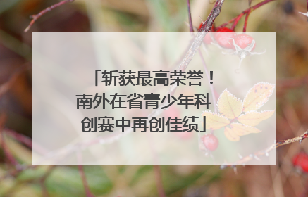 斩获最高荣誉！南外在省青少年科创赛中再创佳绩