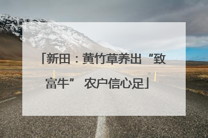 新田：黄竹草养出“致富牛” 农户信心足