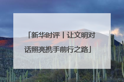 新华时评丨让文明对话照亮携手前行之路
