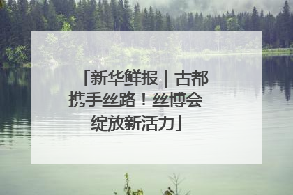 新华鲜报｜古都携手丝路！丝博会绽放新活力