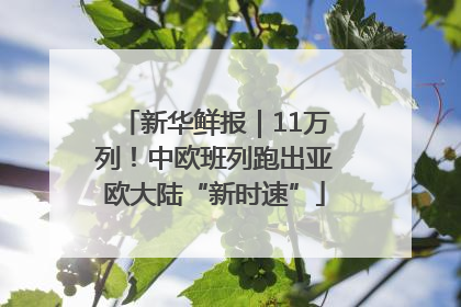 新华鲜报｜11万列！中欧班列跑出亚欧大陆“新时速”