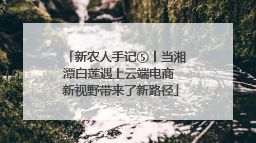新农人手记⑤丨当湘潭白莲遇上云端电商 新视野带来了新路径