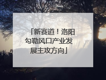 新赛道！洛阳勾勒风口产业发展主攻方向