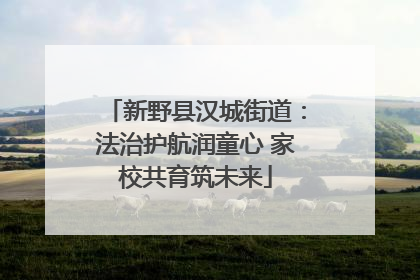 新野县汉城街道：法治护航润童心 家校共育筑未来