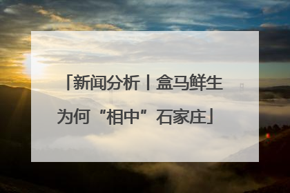新闻分析丨盒马鲜生为何“相中”石家庄