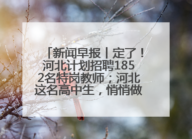 新闻早报丨定了！河北计划招聘1852名特岗教师；河北这名高中生，悄悄做了件超酷的事>>