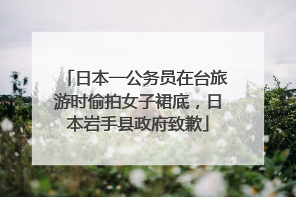 日本一公务员在台旅游时偷拍女子裙底，日本岩手县政府致歉