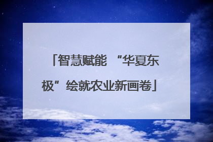 智慧赋能 “华夏东极”绘就农业新画卷