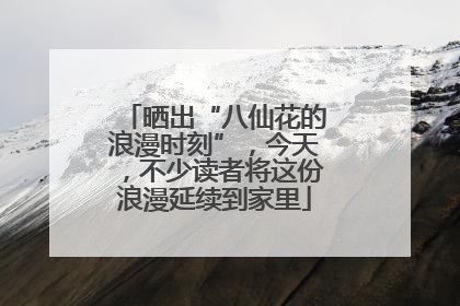 晒出“八仙花的浪漫时刻”，今天，不少读者将这份浪漫延续到家里