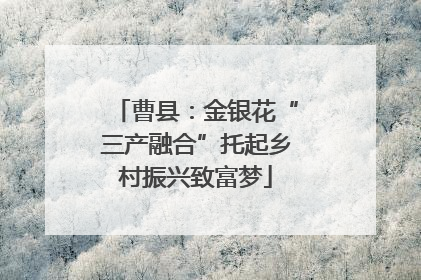 曹县：金银花“三产融合”托起乡村振兴致富梦