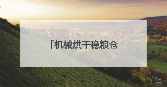 机械烘干稳粮仓，夏收夏种一体化！“三夏”生产跑出加速度｜麦报