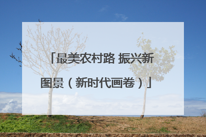 最美农村路 振兴新图景（新时代画卷）