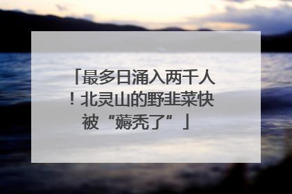 最多日涌入两千人！北灵山的野韭菜快被“薅秃了”