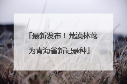 最新发布！荒漠林莺为青海省新记录种