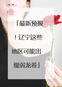 最新预报！辽宁这些地区可能出现弱龙卷