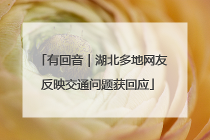 有回音｜湖北多地网友反映交通问题获回应