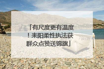 有尺度更有温度！耒阳柔性执法获群众点赞送锦旗