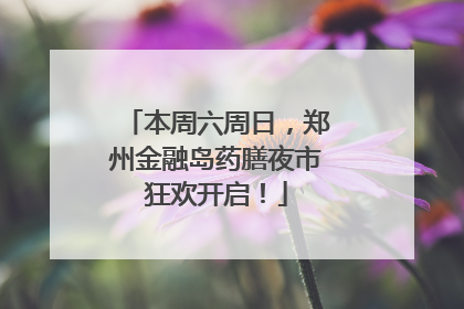 本周六周日，郑州金融岛药膳夜市狂欢开启！