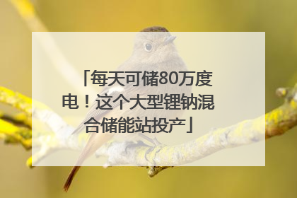 每天可储80万度电！这个大型锂钠混合储能站投产