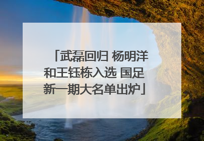 武磊回归 杨明洋和王钰栋入选 国足新一期大名单出炉