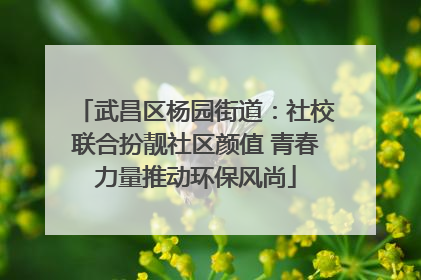 武昌区杨园街道：社校联合扮靓社区颜值 青春力量推动环保风尚