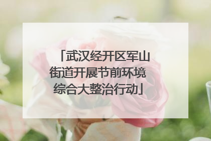 武汉经开区军山街道开展节前环境综合大整治行动