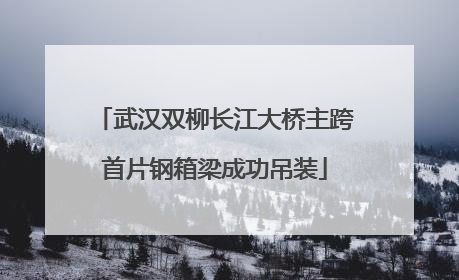 武汉双柳长江大桥主跨首片钢箱梁成功吊装