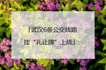 武汉6条公交线路挂“礼让牌”上线
