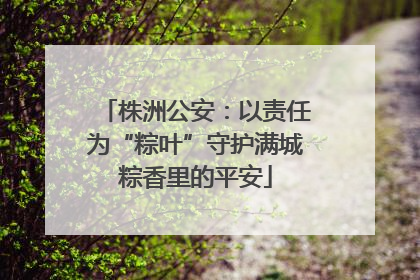 株洲公安：以责任为“粽叶”守护满城粽香里的平安