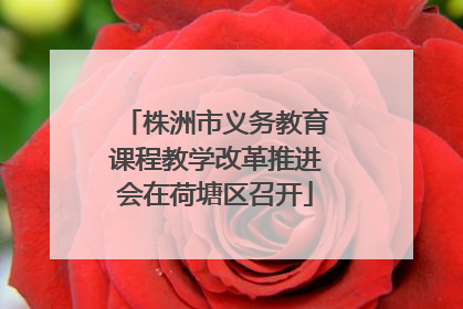 株洲市义务教育课程教学改革推进会在荷塘区召开